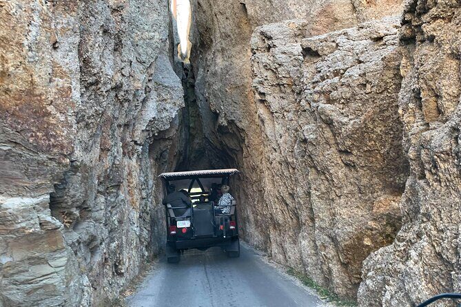 JEEP Bison Safari at Custer State Park - Family Friendly Prices - An In-Depth Look at the Custer State Park Jeep Safari