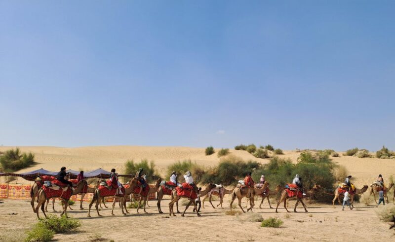Jeep & Camel Ride, Musical Evening in The Desert Luxury Camp - Authenticity & Overall Value