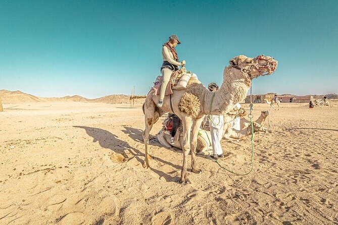 Jeep Cruise Stargazing with Horse Riding & BBQ Dinner - Hurghada - Who is This Tour Best For?