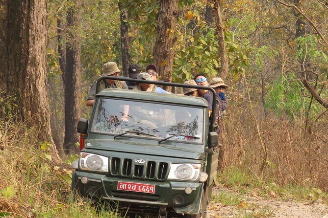 Jeep Safari (8-10 hrs., Private)inside Chitwan National Park. - An In-Depth Look at the Chitwan Jeep Safari