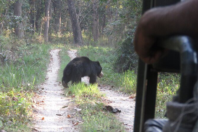 Jeep Safari (8-10 hrs., Private)inside Chitwan National Park. - Considerations Before Booking