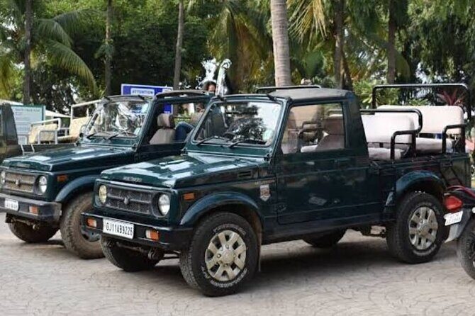 Jeep Safari: A Skip the line access to Devalia Safari Park India - The Value of This Safari