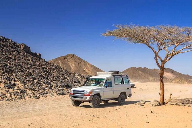 Jeep Safari Adventure Desert With Dinner And Show In Marsa Alam - Introducing the Marsa Alam Jeep Safari Experience