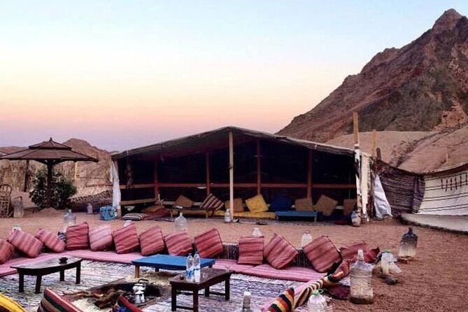 Jeep Safari Adventure Desert With Dinner And Show In Marsa Alam - Analyzing the Value and Suitability