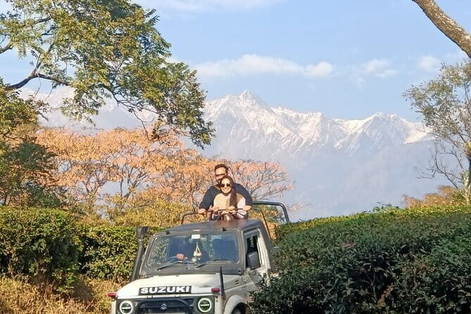 Jeep Safari and Picnic Tour - A Practical Look at the Jeep Safari and Riverside Picnic in Palampur