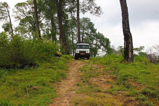 Jeep Safari and Picnic Tour - Key Points