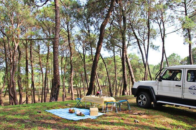 Jeep Safari and Picnic Tour - What the Reviews Say