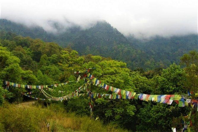 Jeep Safari in Nagarjun forest at Kathmandu - FAQ