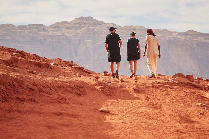Jeep Tour in Wadi Rum with Professional Guide (Full day) - Who Will Love This Experience?