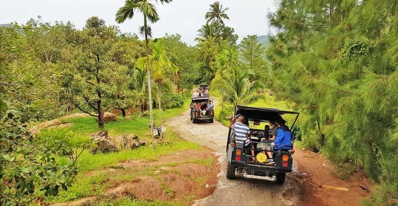 Jeep Tour Koh Samui Jungle Safari Full Day Adventure - Starting the Adventure: From Pick-Up to First Stops