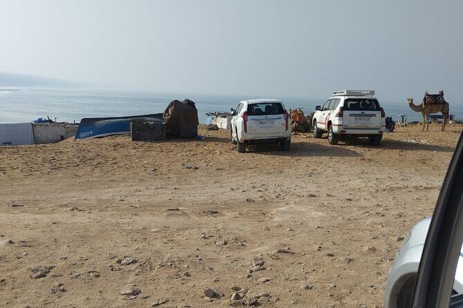 Jeep Tour to Mini Sahara With Lunch Small group - Who Will Love This Tour?