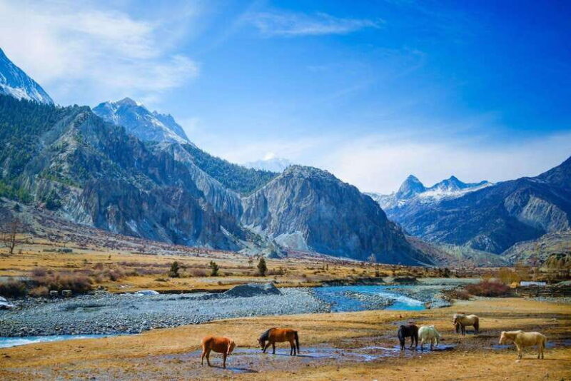 Jeep Trip to Upper Mustang - Key Points