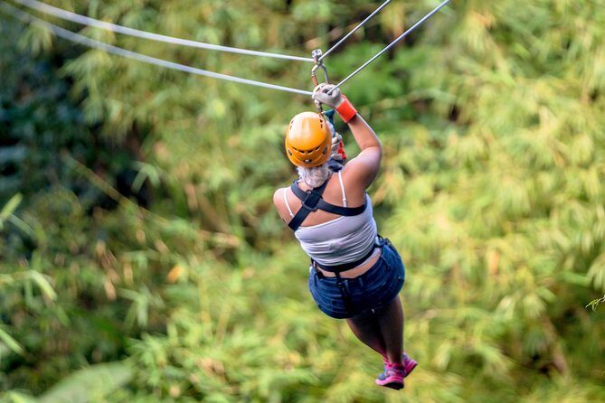 Jeep & Zip Safari St. Lucia From Castries - FAQs
