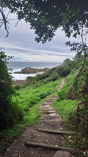 Jeffreys Bay: Storms River Nature Reserve Guided Day Trip - An In-Depth Look at the Storms River Day Trip