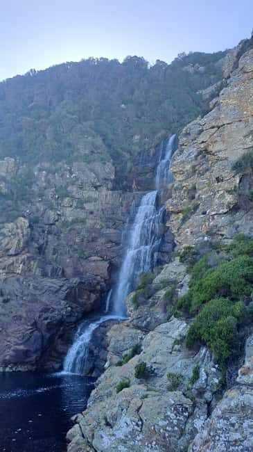 Jeffreys Bay: Storms River Nature Reserve Guided Day Trip - The Sum Up