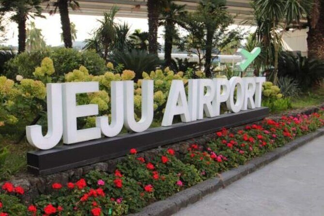 Jeju Airport Transfer - User Experience & Real Feedback