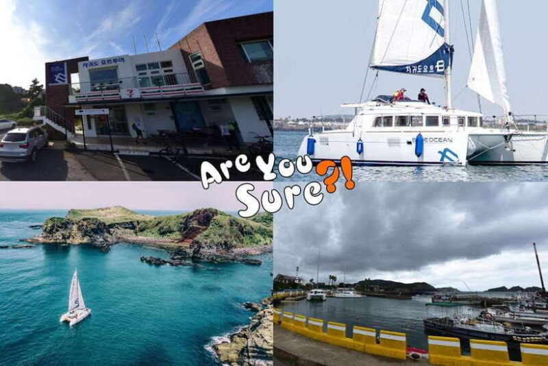 Jeju: BTS Are You Sure?! Filming Locations Private Taxi Tour - What the Tour Offers