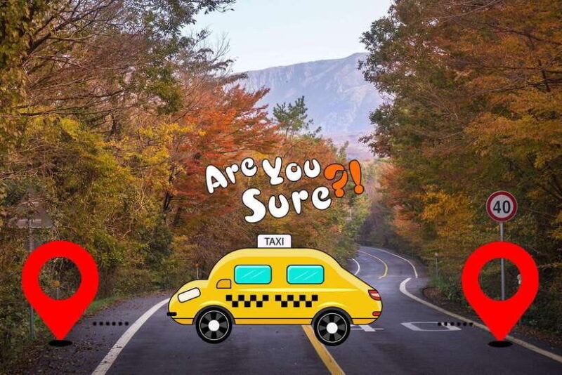 Jeju: BTS Are You Sure?! Filming Locations Private Taxi Tour - The Value of Private Transportation