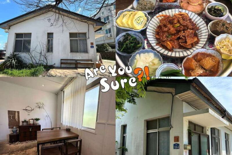 Jeju: BTS Are You Sure?! Filming Locations Private Taxi Tour - Authentic and Personalized Experience