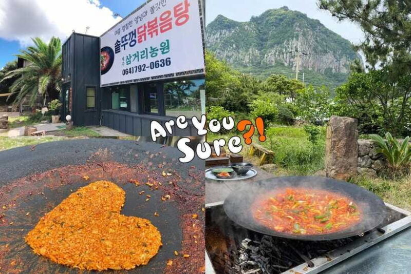 Jeju: BTS Are You Sure?! Filming Locations Private Taxi Tour - Authenticity and Photos