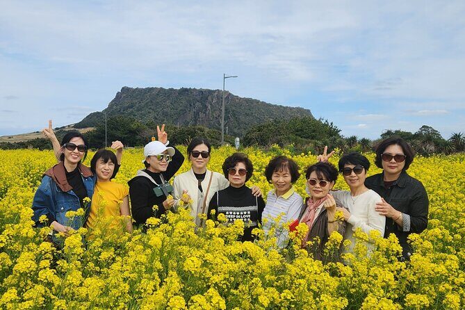 Jeju bus tour with professional English guide for cruise customer - FAQs About the Jeju Bus Tour
