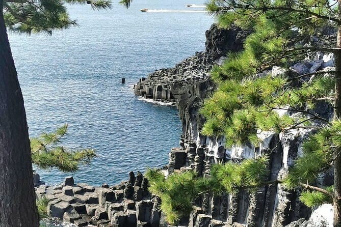 Jeju Cruise Ship gangjung Port private tour for 1 to 13 3 tours - Key Points