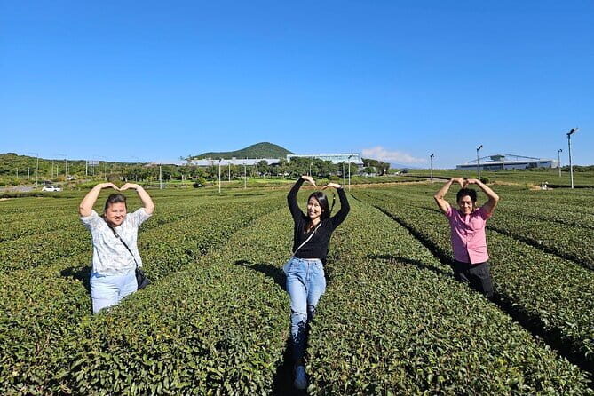 Jeju Customize Private VAN Tour of East or West or South (~8pax) - FAQ