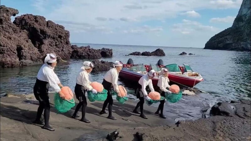 Jeju: Customized Private Vehicle Day Tour - Why Choose the Jeju Private Day Tour?