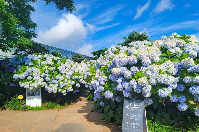 Jeju Day Tour for Cruise Guests - Final Thoughts