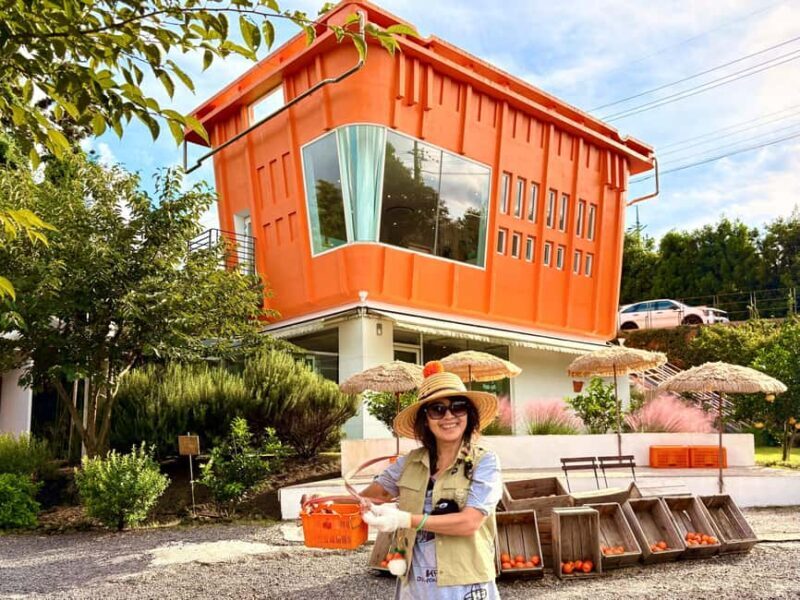 Jeju East: Small Group Healing Tour w/Woman Divers Show - Authentic Experiences that Shine