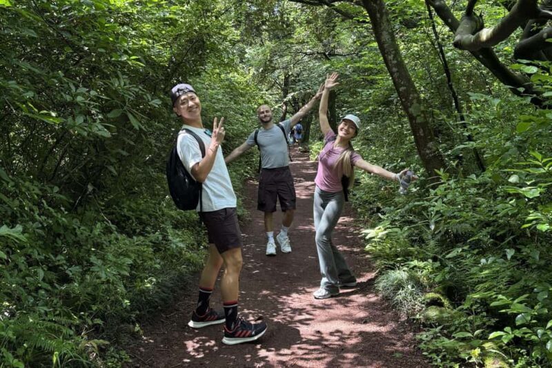 Jeju East: Small Group Healing Tour w/Woman Divers Show - Who Will Love This Tour?