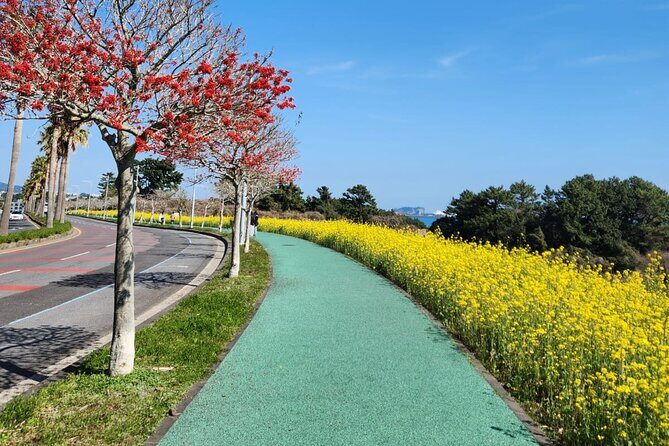 Jeju English Private Taxi Tour(1day, 2days, 3days & 1 to 8pax) - Why Choose the Jeju English Private Taxi Tour?
