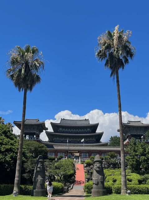 Jeju: Highlight Customized Private tour with Expert Guide - Key Points