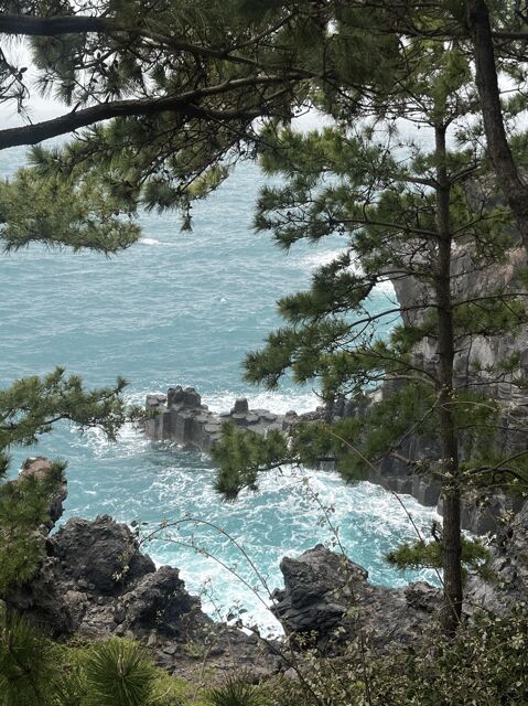 Jeju: Highlight Customized Private tour with Expert Guide - Practical Details: Transportation and Value