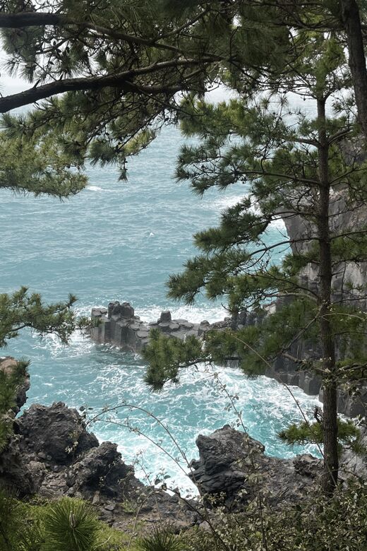 Jeju: Highlight Customized Private tour with Expert Guide - Final Thoughts