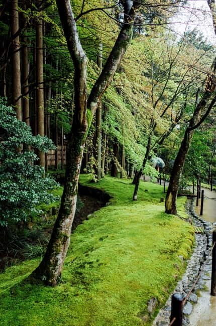 Jeju Highlights Day Trip (East Course) - Final Thoughts