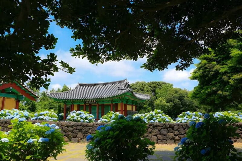 Jeju Hydragea Festival Tour : EAST Route - Practical Details and What to Expect