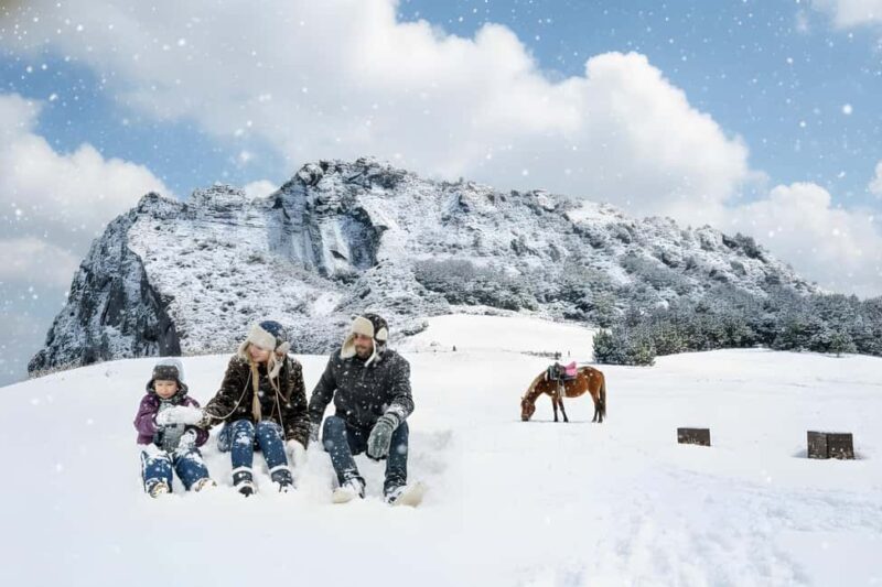 Jeju Island: East Jeju UNESCO Highlights Full-Day Tour - Who Should Consider This Tour?