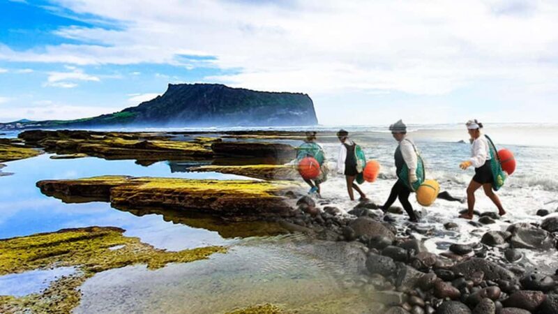Jeju Island: East Jeju UNESCO Highlights Full-Day Tour - FAQ