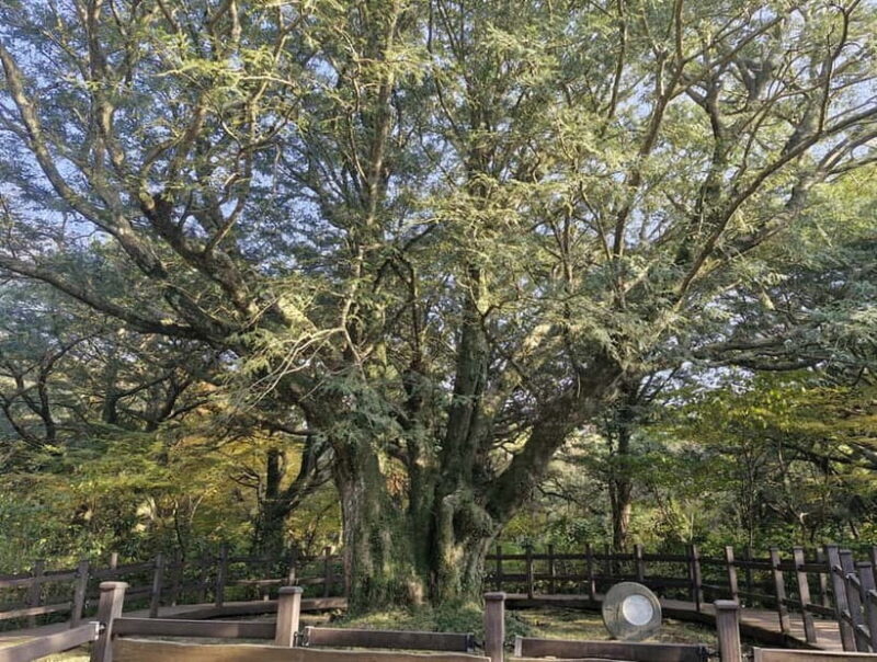 Jeju Island: Eastern Tour for Leisurely Walkers - Highlighted Stops and Their Significance