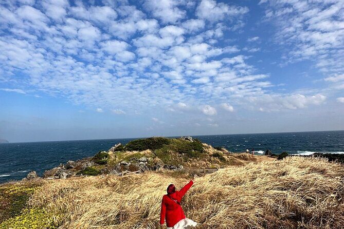 Jeju Island English Private & Flexible Tour any number anywhere - Key Points