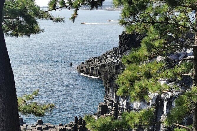 Jeju Island English Private & Flexible Tour any number anywhere - The Sum Up