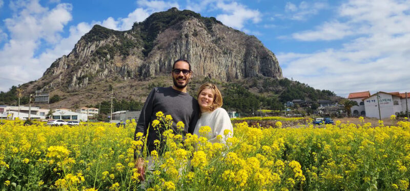 Jeju Island: Full-Day Customizable Private Guided Car Tour - Who Will Love This Tour?