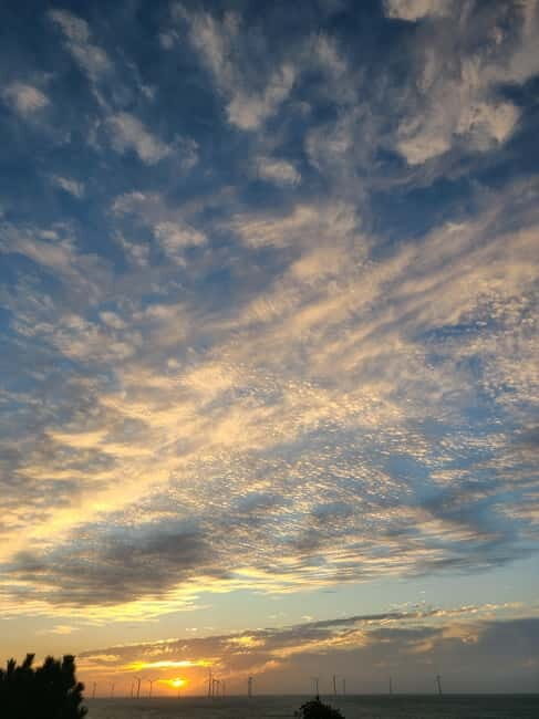 Jeju Island: Hallasan Mountain Winter Scenery Guided Tour - Final Thoughts