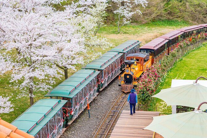Jeju island private DAY Tour - South of Jeju - Introduction