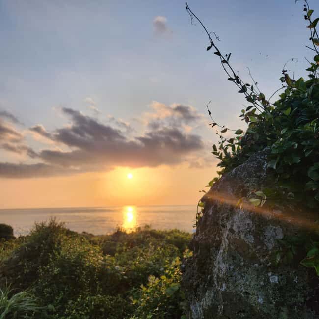 Jeju Island: Sunrise Guided Tour with Hotel Pickup - Final Thoughts