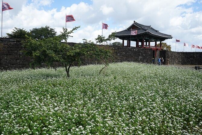 Jeju Island Taxi Join Tour - Who Will Love This Tour?