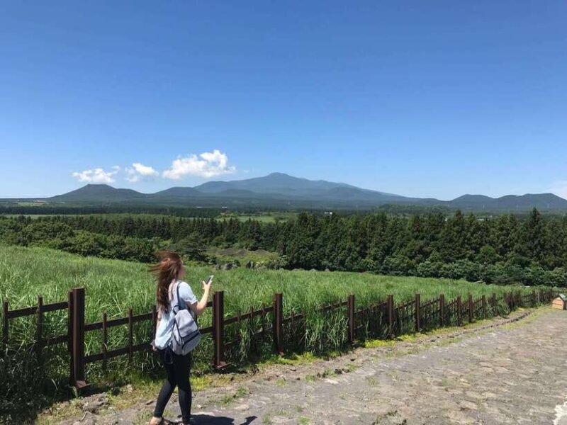 Jeju island: Van tour with a guide who the most loves JEJU - Key Points
