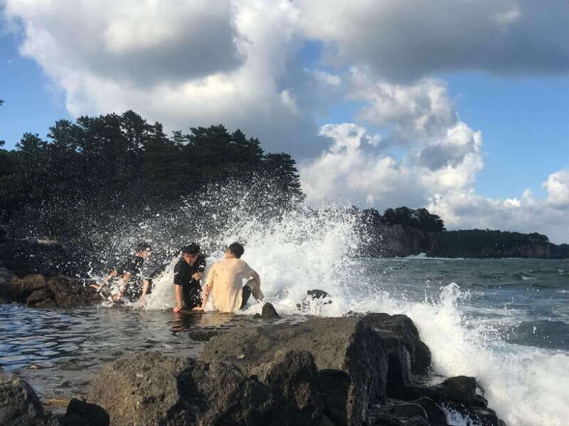 Jeju island: Van tour with a guide who the most loves JEJU - What’s Included and What’s Not