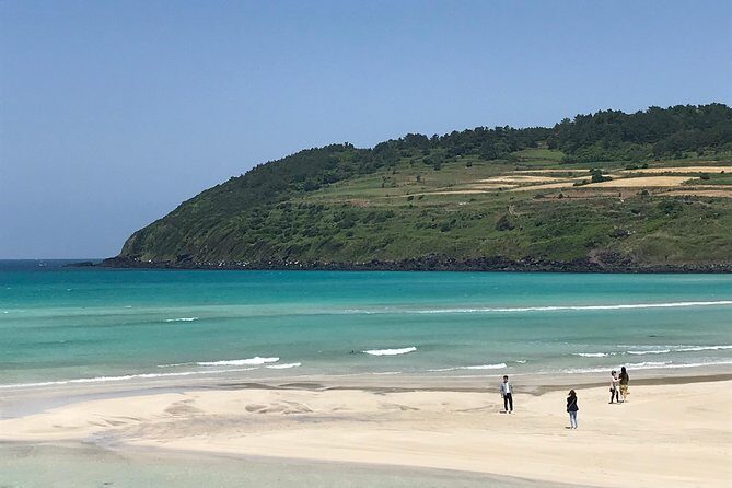 Jeju island: Van tour with a guide who the most loves JEJU - The Sum Up